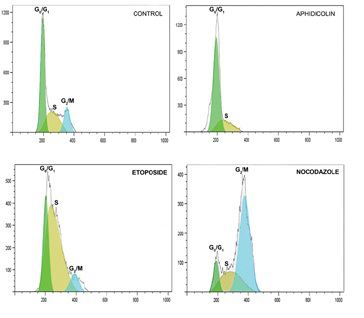 NUCLEAR-ID? 細(xì)胞周期分析試劑盒（紅色熒光）