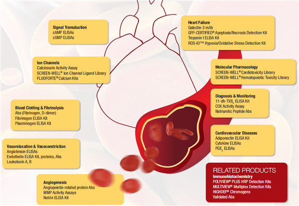 心血管疾病的相關(guān)生物標(biāo)志物