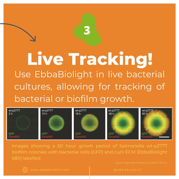 baBioligh活細(xì)胞示蹤