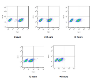 CYTO-ID? 細胞譜系示蹤試劑盒