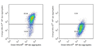 MITO-ID線粒體膜電位檢測(cè)試劑盒