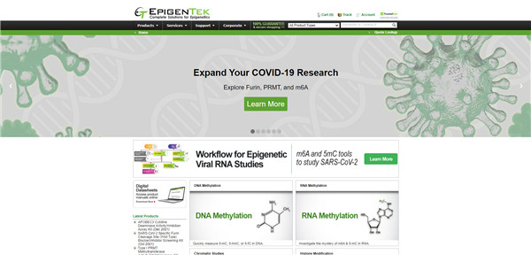 Epigentek官網(wǎng)