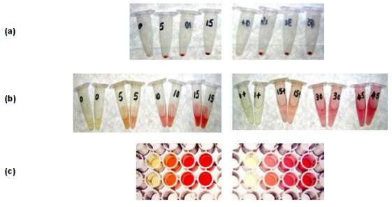 Sircol-Insoluble-Collagen-Assay-1檢測結(jié)果