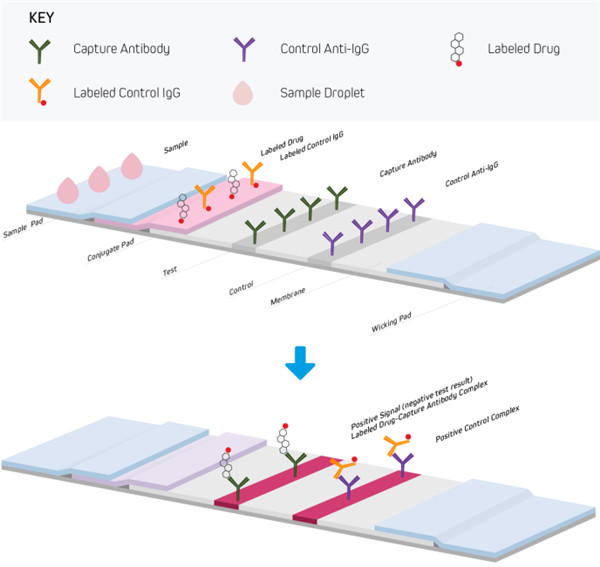 側(cè)流免疫層析競爭法