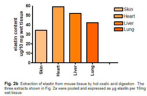 彈性蛋白檢測結(jié)果