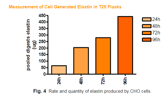 彈性蛋白檢測結(jié)果