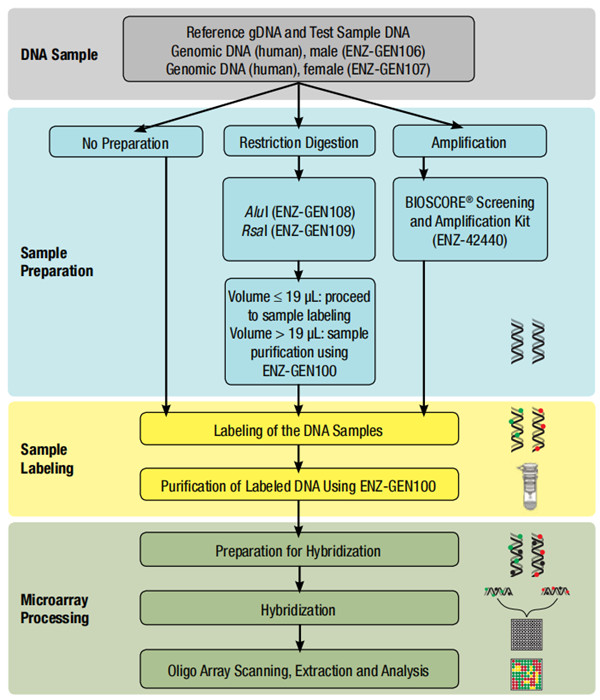 Enzo的陣列CGH試劑盒