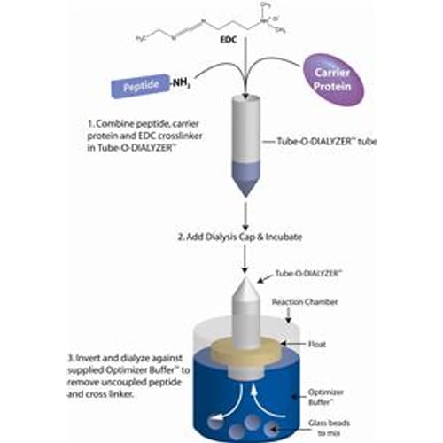 即用型KLH和BSA偶聯(lián)試劑盒