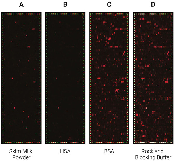不同封閉劑在使用 PEPperCHIP? 肽微陣列進(jìn)行表位定位時(shí)的性能比較