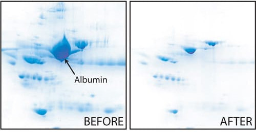 AlbuminOUT?白蛋白去除試劑盒