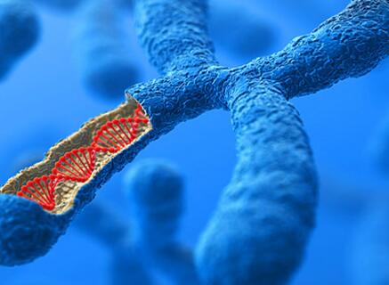 子宮內(nèi)膜癌與POLE基因突變