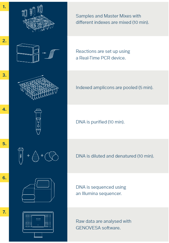 KRAS/NRAS/BRAF、EGFR、IDH1/2和POLE基因建庫試劑盒