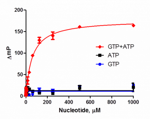 ATP和GTP依賴(lài)