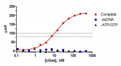 cGAS由雙鏈DNA激活，需要ATP和GTP底物來(lái)生產(chǎn)cGAMP