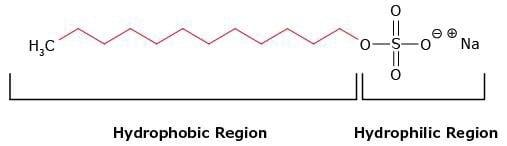 去垢劑SDS的結(jié)構(gòu)圖