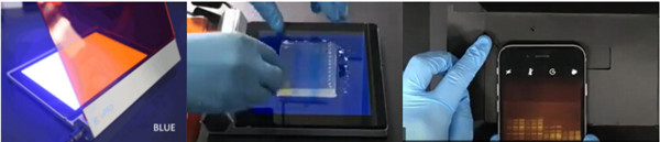 分子克隆:跑膠切膠