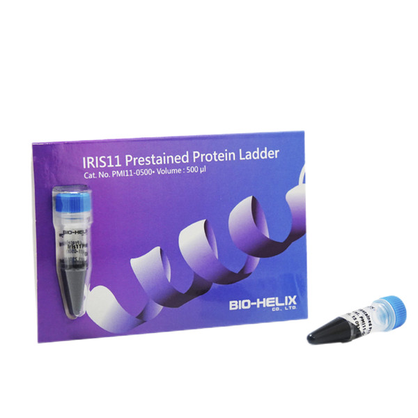 IRIS11 預(yù)染蛋白ladder(11條預(yù)染條帶)