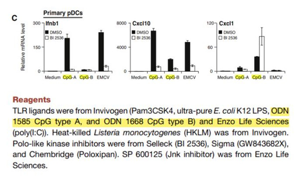 Enzo精品低內(nèi)毒素的CpG ODN