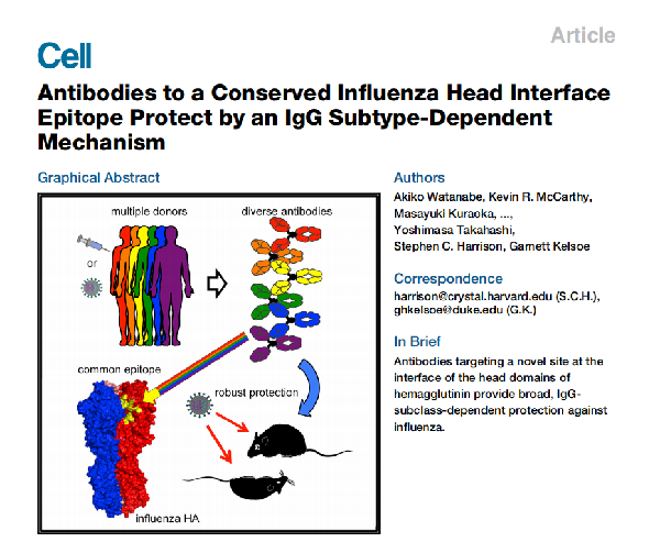 Rockland同型對照