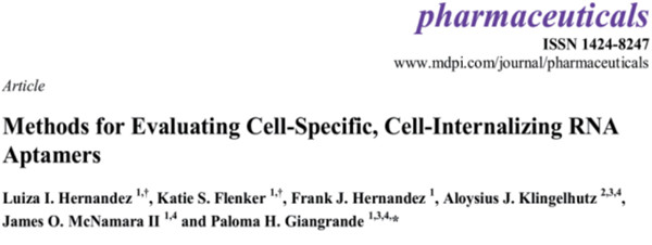 用靶向毒素評估RNA適體（RNA aptamer）的內(nèi)化功能(體外實驗)