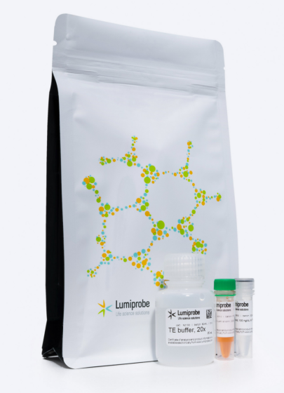 Pico488 dsDNA 定量試劑盒