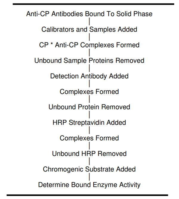 人銅藍蛋白ELISA試劑盒