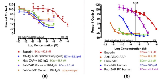 3類不同Saporin二級偶聯(lián)物的作用效果對比