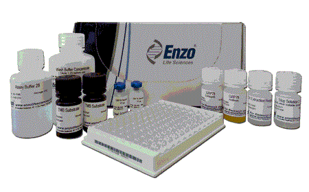 KIM-1 elisa試劑盒