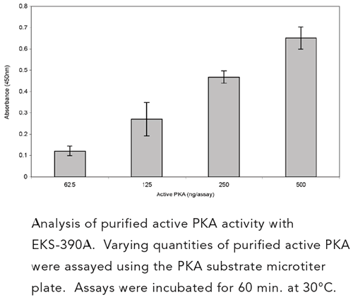 PKA激酶活性試劑盒