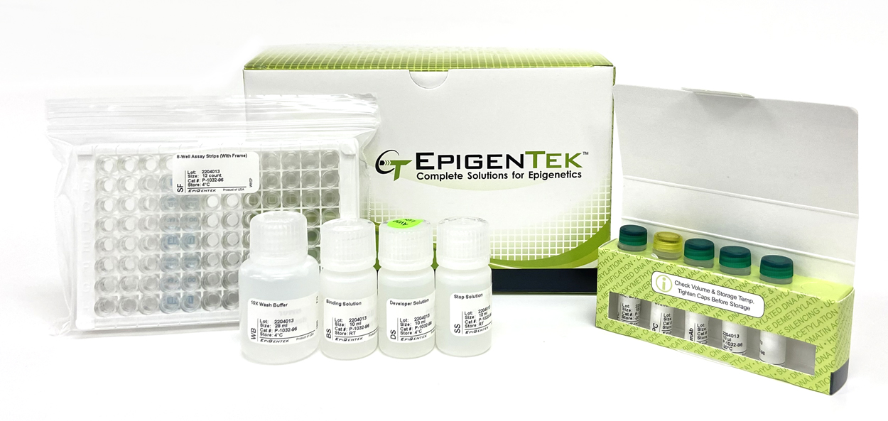 總體DNA羥甲基化（5-hmC）ELISA試劑盒