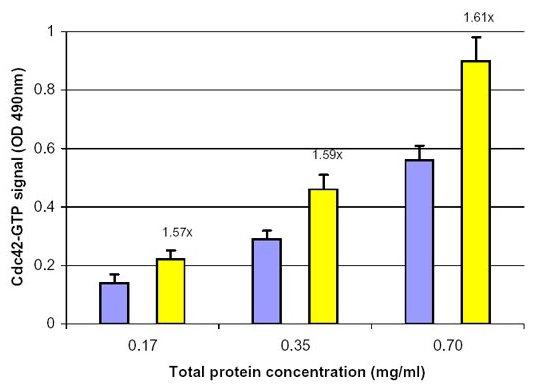 通過 Cdc42 G-LISA 活化測定法測量的 EGF 激活 Cdc42