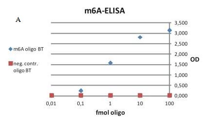 不同m6A量的ELISA定量