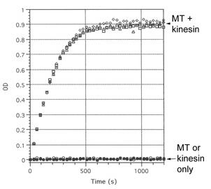 使用驅(qū)動(dòng)蛋白重鏈馬達(dá)結(jié)構(gòu)域蛋白