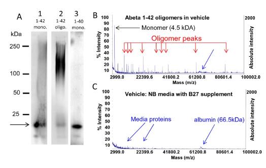 β淀粉樣蛋白(1-42)