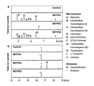 香葉基二磷酸酯