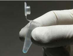 BK035 中色彩鮮艷的谷胱甘肽瓊脂糖珠使試劑盒易于使用