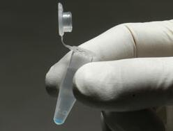 PAK02中色彩鮮艷的膠合瓊脂糖珠易于使用