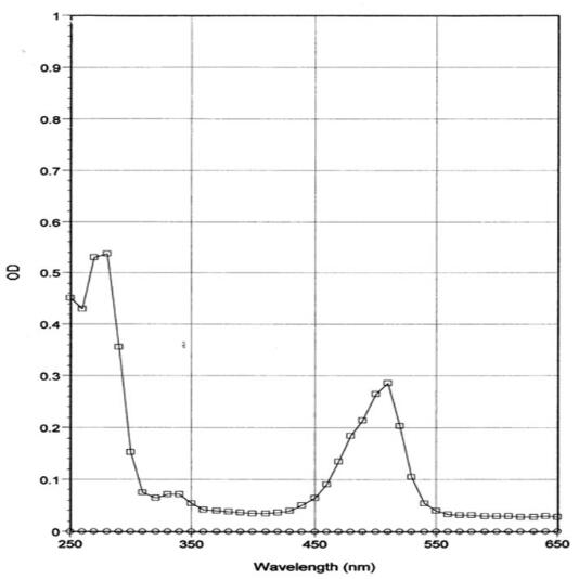 HiLyte熒光? 488標(biāo)記的纖連蛋白在溶液中的吸收掃描