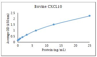 牛 CXCL10 (IP-10) ELISA DIY 試劑盒