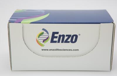 Protein A ELISA kit