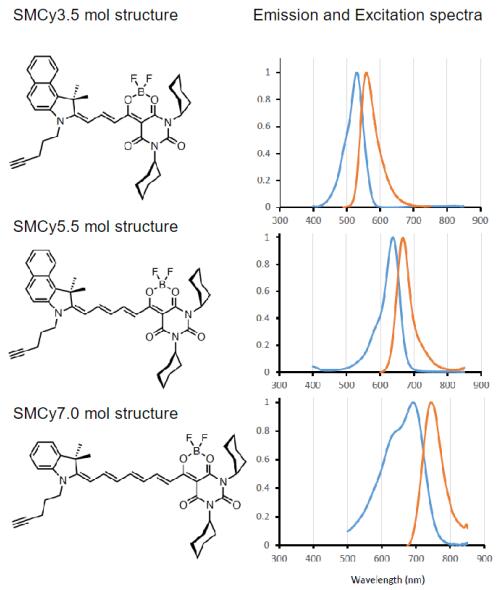 產(chǎn)品化學(xué)結(jié)果及熒光特性