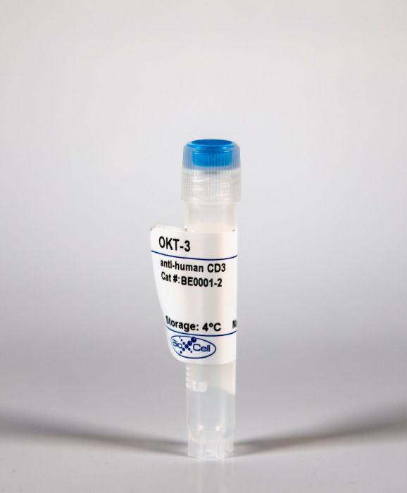 OKT-3單克隆抗體.jpeg