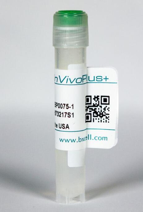 體內(nèi)加大反鼠標Ly6G