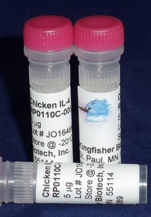 雞IL-4重組蛋白