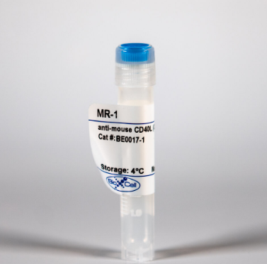 體內(nèi) MAb抗小鼠CD40L