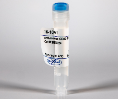 體內(nèi) MAb抗小鼠CD 80