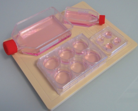 Mega Magnetic Plate超大磁板