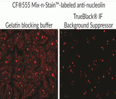 TrueBlack IF背景抑制系統(tǒng)