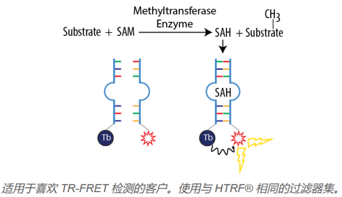 AptaFluor SAH甲基轉(zhuǎn)移酶測定試劑盒