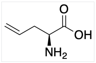 L-烯丙基甘氨酸 